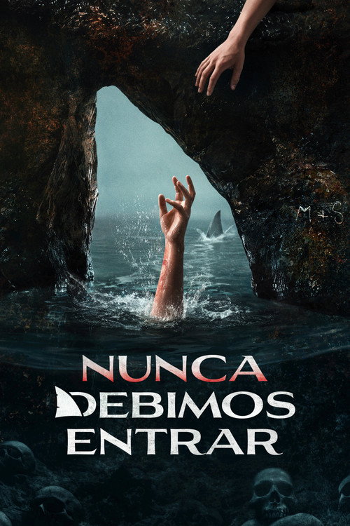 Nunca debimos entrar (2026)